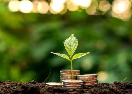 18 ٪ تراجعا في إصدار السندات المستدامة في الشرق الأوسط خلال الأشهر التسعة الأولى من عام 2024