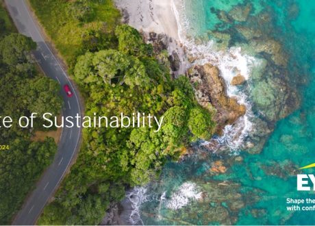 EY report: 19% rise in Irish business focus on sustainability