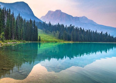 New ISO ESG Implementation Principles provide int’l guidance to streamline ESG practices