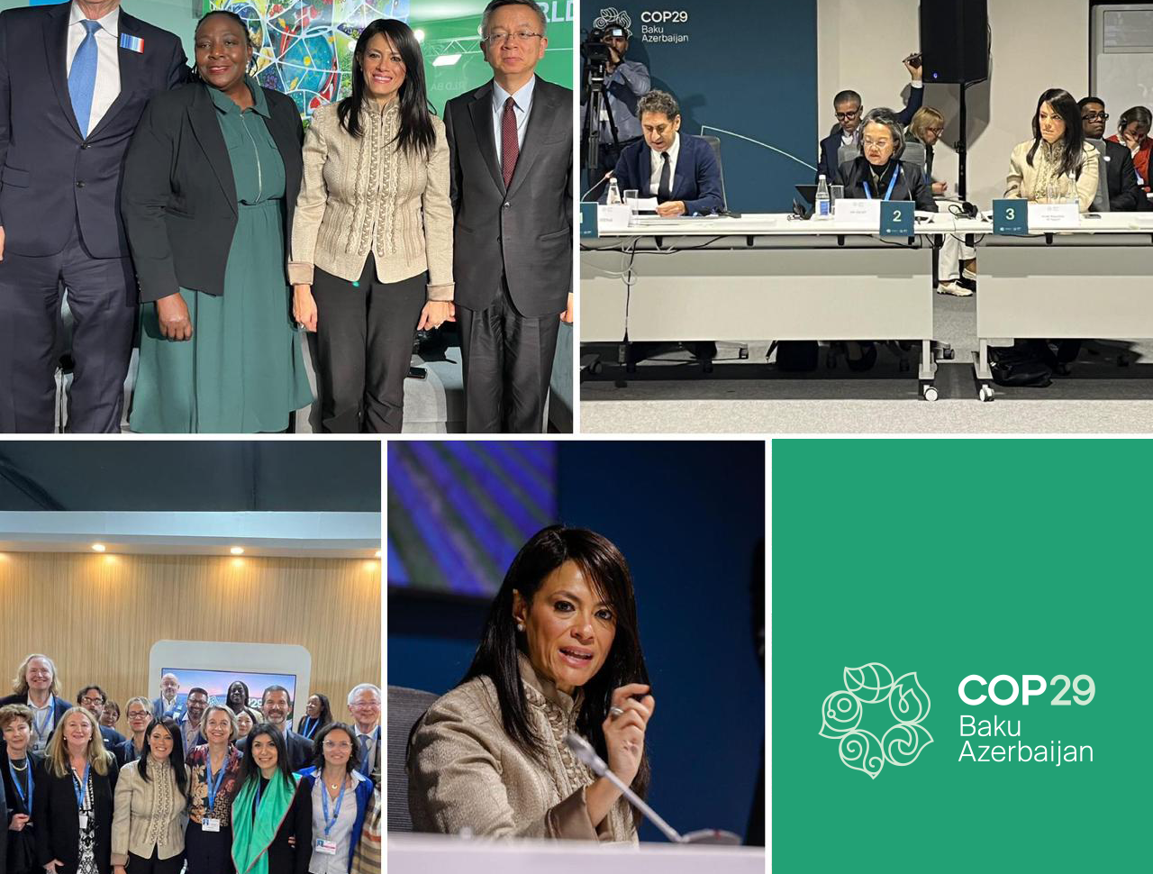 Egypt witnesses launch of two COP29 initiatives on sustainable energy, green skills