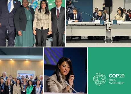 Egypt witnesses launch of two COP29 initiatives on sustainable energy, green skills