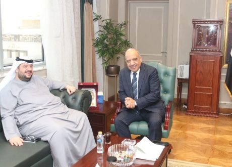 وزير الكهرباء: دور حيوي وفعال لشركاء العمل من الشركات الإماراتية في مجالات الطاقات الجديدة