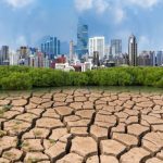 تقرير: تعهد دولي بحماية 30% من اليابسة بحلول عام 2030