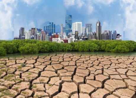 تقرير: تعهد دولي بحماية 30% من اليابسة بحلول عام 2030