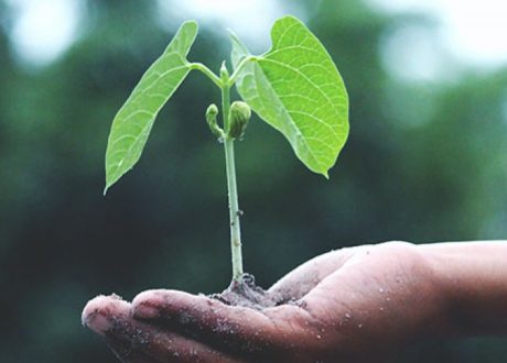 Africa to benefit from Denmark’s DKK 30 m allocation bolstering UN’s CTCN for climate action