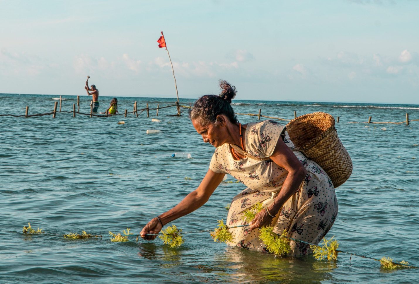 UK, Australia contribute about $22.4 m to promote UNDP’s sustainable development efforts