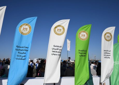 وزارة البيئة تشارك بماراثون زايد الخيرى بالعاصمة الإدارية الجديدة