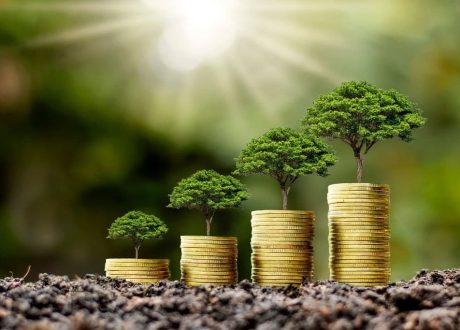 Survey: 80% of asset managers, asset owners see sustainability as path for pursuing growth opportunities