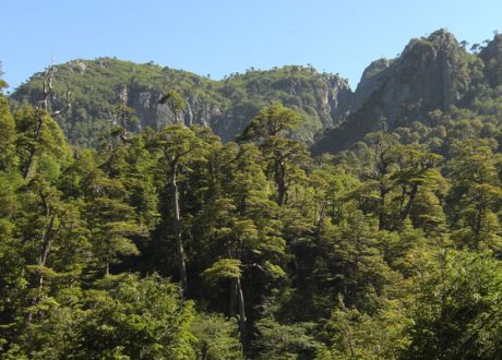 WB earmarks  $5.1m for Chile to cut 1.03 m tons of CO2 emissions