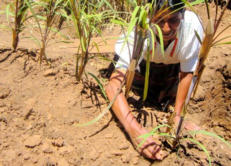 20 countries in LAC region highly exposed to climate extremes
