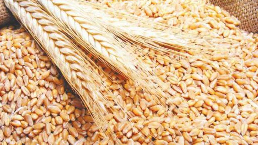 بنسبة 151%..”كندا” ترفع صادراتها من القمح خلال أسبوع
