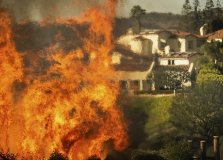 Mars takes immediate action to support people, pets affected by California wildfires