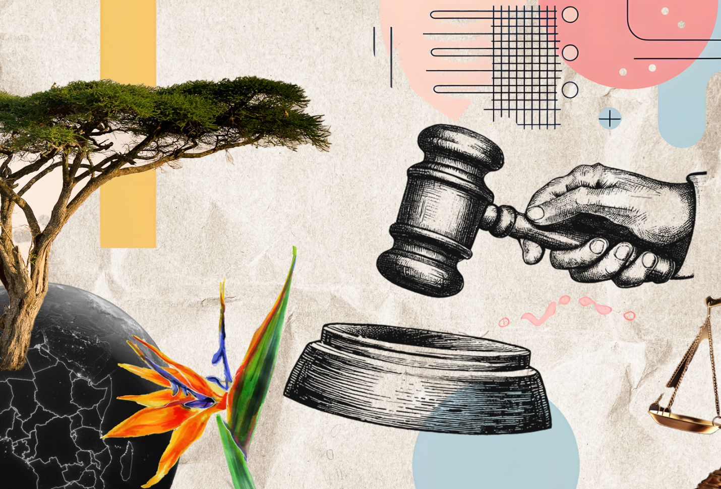 What are emerging trends in climate litigation? 