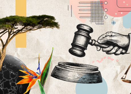 What are emerging trends in climate litigation? 