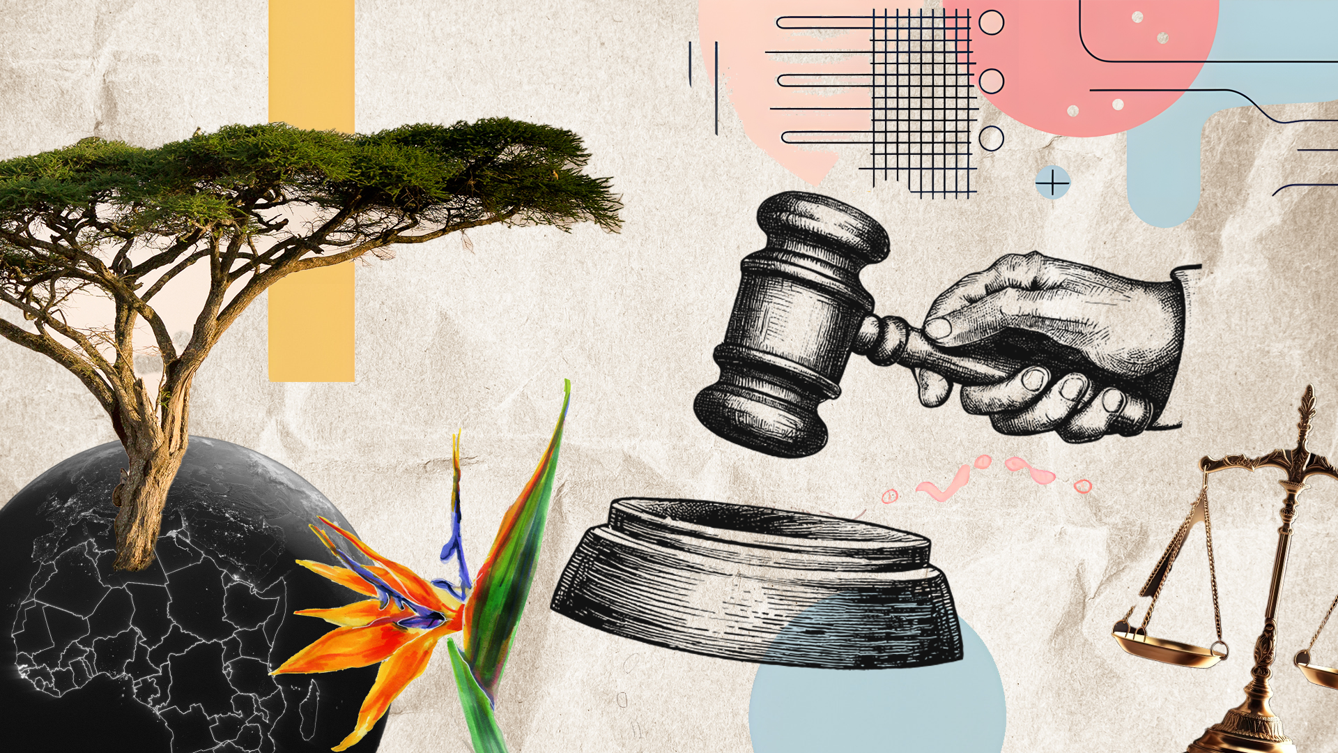 What are emerging trends in climate litigation? 