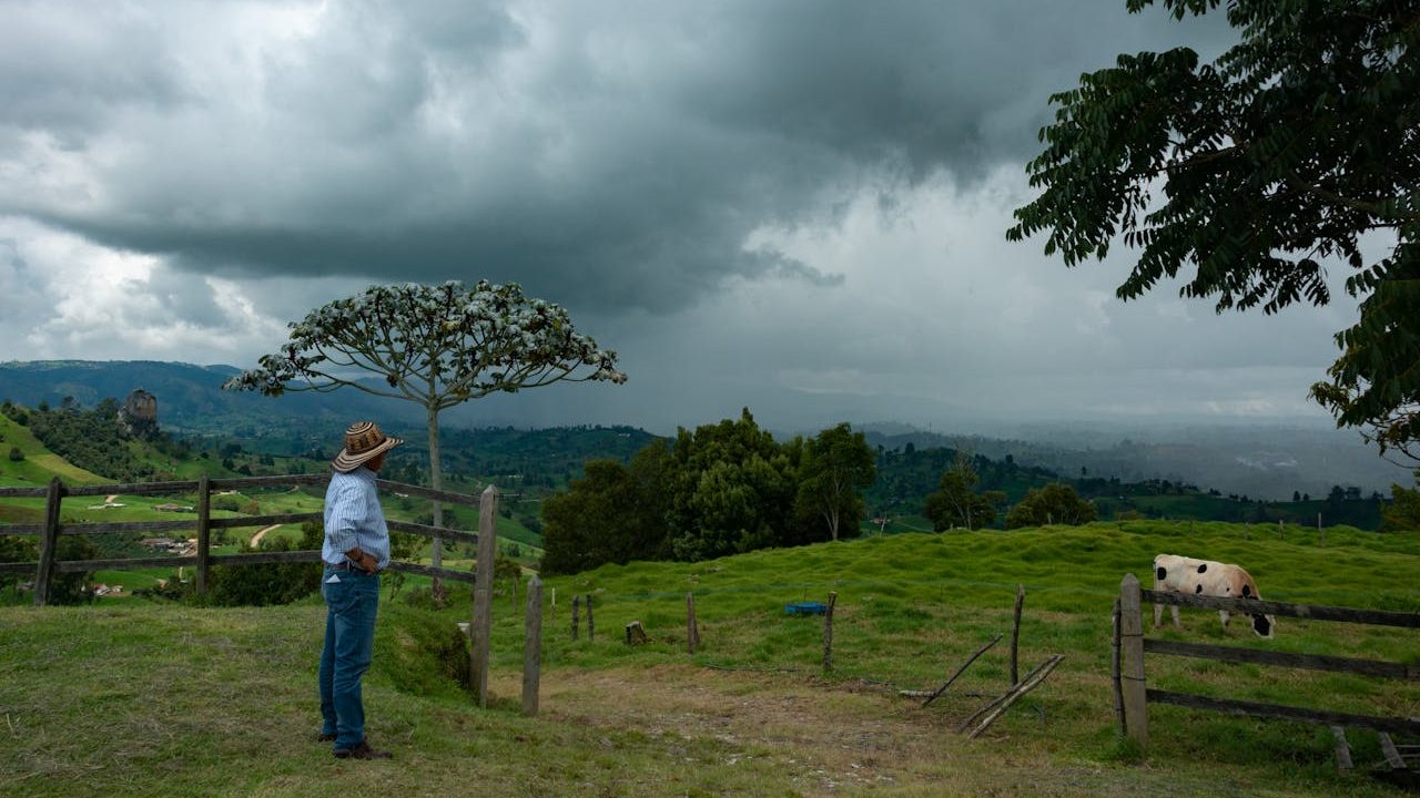EU earmarks €98.6 m to back farmers in countries impacted by climatic, natural disasters