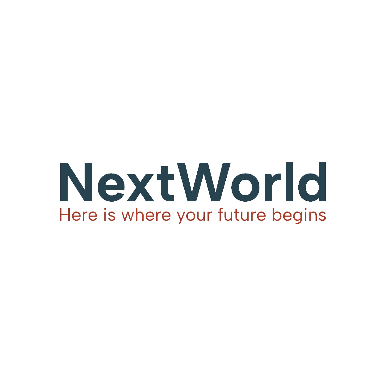 بمشاركة جهات حكومية.. «Next World» تعزز ريادة الأعمال في المحافظات بفعالية جديدة في كفر الشيخ