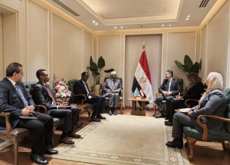 “وزير التموين” يستقبل وزير الزراعة الصومالي لدعم جهود التنمية المستدامة في القارة الإفريقية