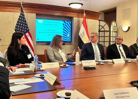 وزير البترول يؤكد أهمية تعزيز الشراكات مع الدول الأفريقية في ظل التحديات العالمية الراهنة