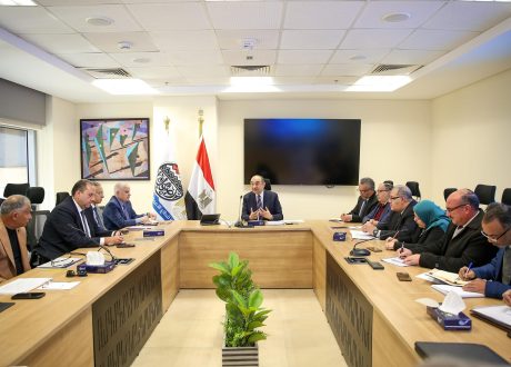 وزير قطاع الأعمال العام يوجه بتحسين أداء الشركات الكيماوية وتعزيز الاستثمار المحلي في الصناعة