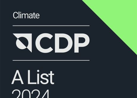 CDP: 462 companies out of over 22,700 scored A for climate action disclosure in 2024