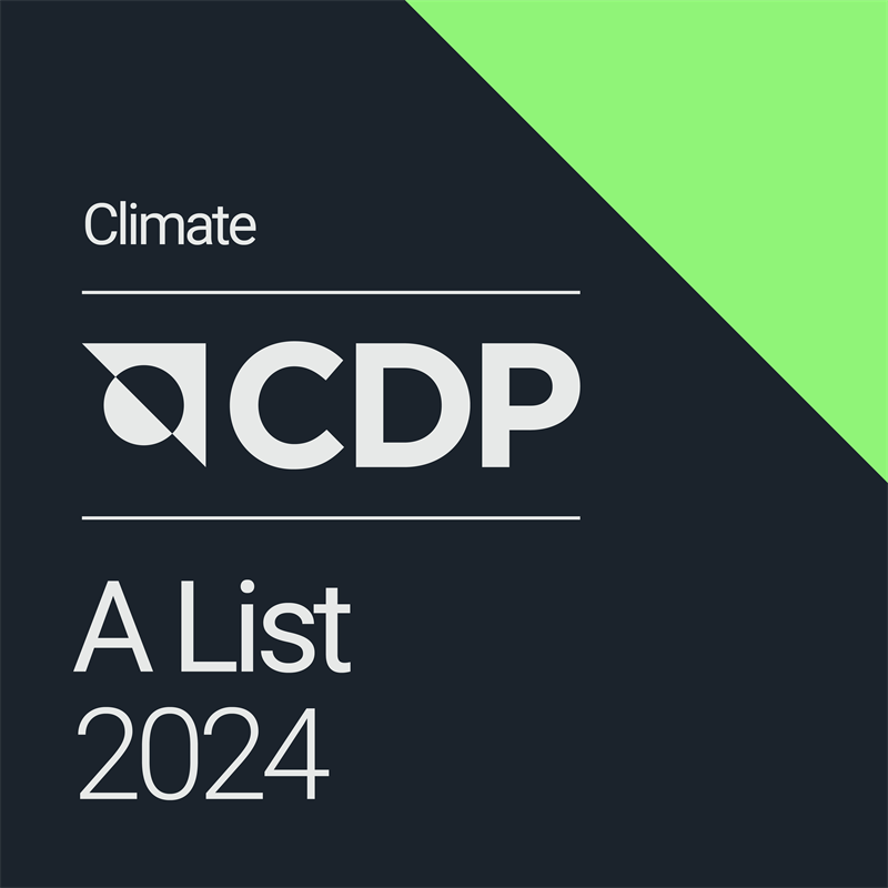 CDP: 462 companies out of over 22,700 scored A for climate action disclosure in 2024