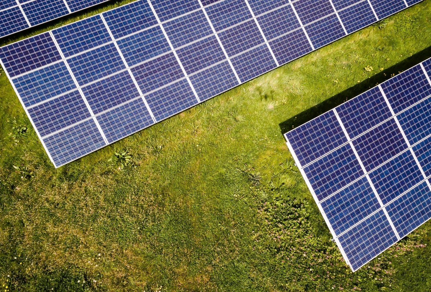 Ember: Record renewables growth push clean power past 40% of global electricity in 2024