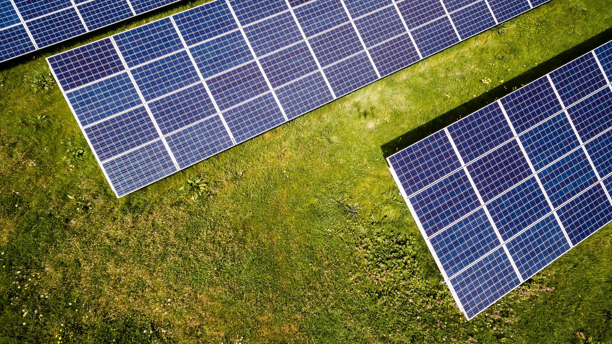 Ember: Record renewables growth push clean power past 40% of global electricity in 2024