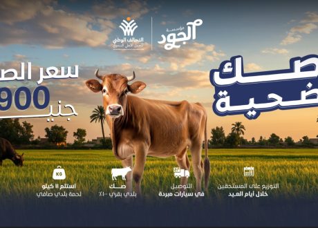 «الجود الخيرية» تُطلق صك الأضحية لدعم الأسر الأكثر استحقاقًا في الصعيد