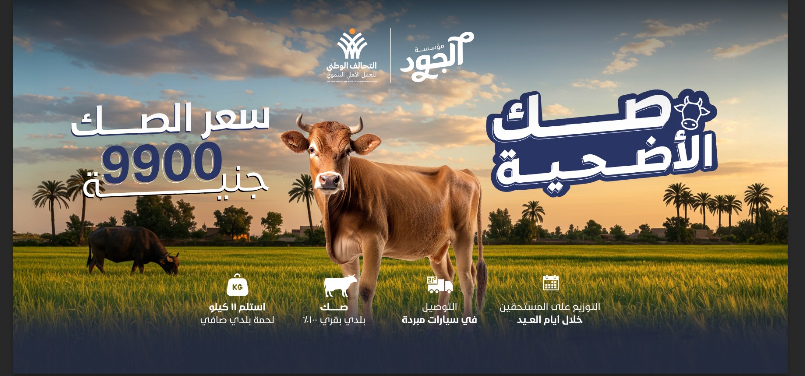 «الجود الخيرية» تُطلق صك الأضحية لدعم الأسر الأكثر استحقاقًا في الصعيد