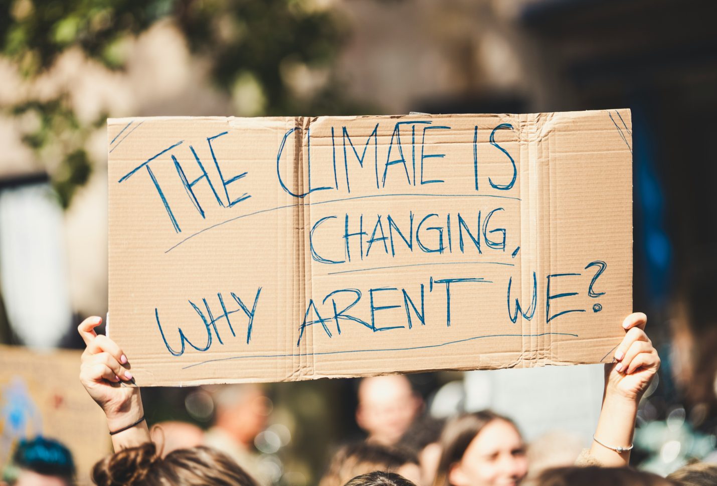 WEF: 86% of global population endorses pro-climate social norms, 69% ready to contribute 1% of their personal income for climate action
