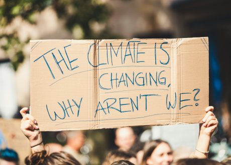 WEF: 86% of global population endorses pro-climate social norms, 69% ready to contribute 1% of their personal income for climate action