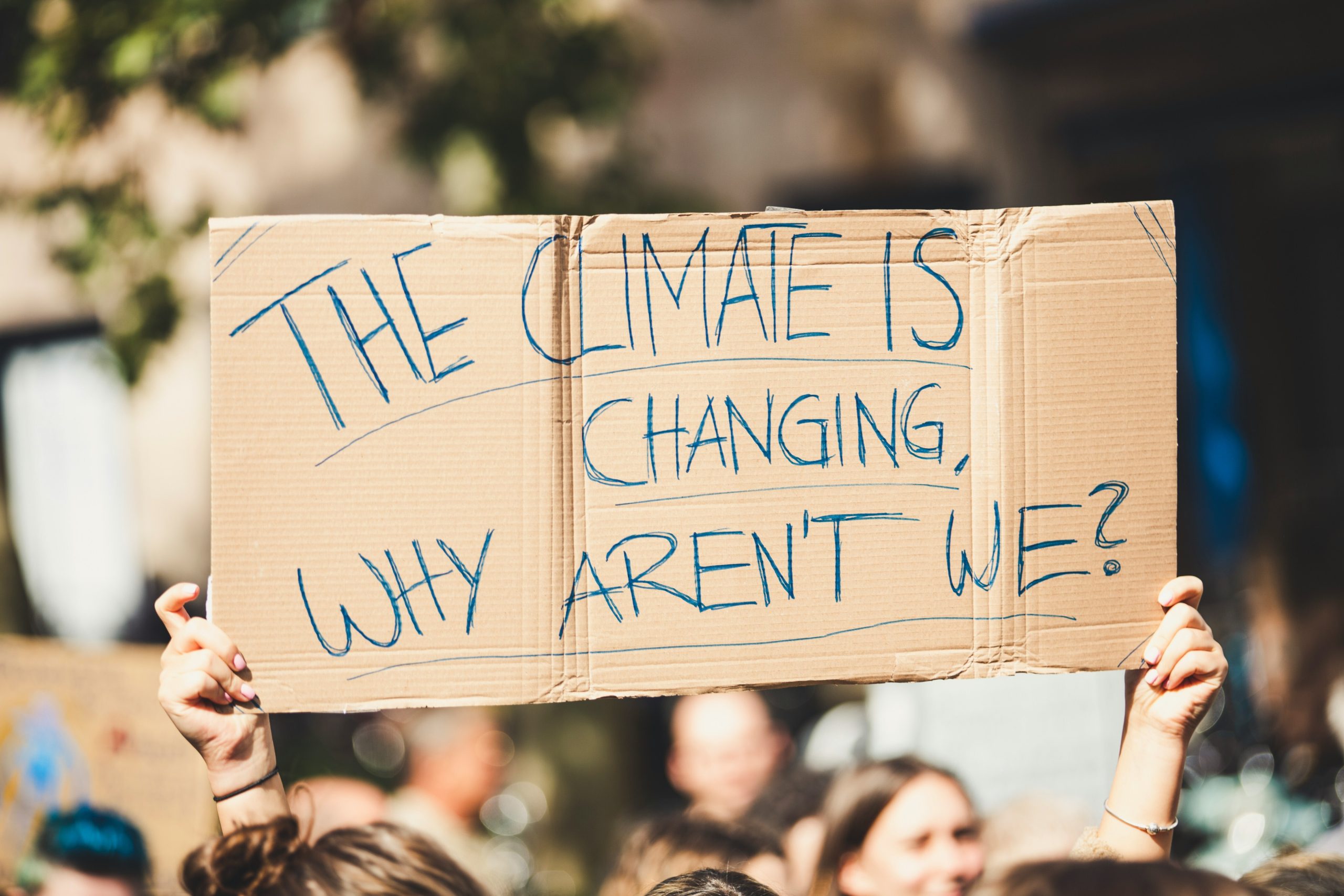 WEF: 86% of global population endorses pro-climate social norms, 69% ready to contribute 1% of their personal income for climate action