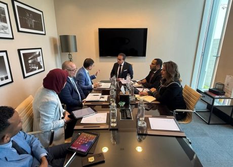  نائب رئيس مجلس الوزراء وزير الصحة يلتقي وفد «UNIDO» لبحث تعزيز التعاون في تنمية صناعة الأدوية و اللقاحات