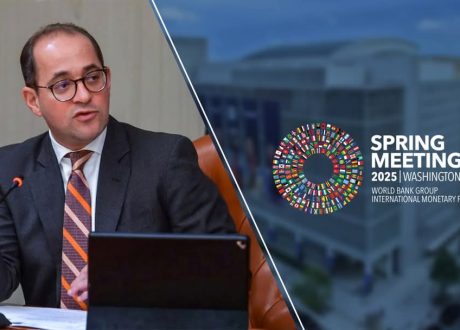 وزير المالية : التغيرات المقبلة في التجارة العالمية تجعل أفريقيا «وجهة مثالية» للاستثمارات الأجنبية المباشرة