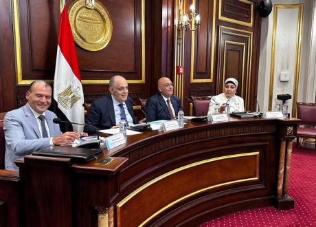 ” تنمية المشروعات” يتعاون مع” وزارة التنمية المحلية” لتطوير التكتلات الإنتاجية في المحافظات بالتنسيق مع لجنة المشروعات الصغيرة بمجلس النواب