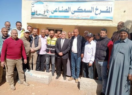 مدير «الثروة السمكية»: نركز على تطبيق أفضل الممارسات البيئية لتعزيز الأمن الغذائي ضمن استراتيجية مصر 2030