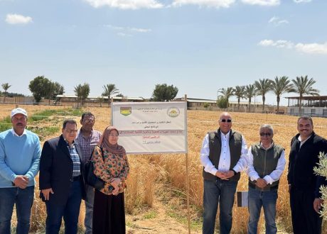 برامج تنموية متكاملة من مركز بحوث الصحراء لتعزيز الزراعة وتحسين معيشة أهالي سيناء