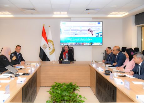 وزيرة البيئة تبحث مع “اليونيدو” تعزيز التعاون لتحقيق التحول الأخضر ودعم الاقتصاد الدائري في مصر