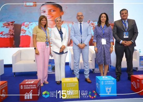 Sustainable development experts: Building data-based strategies contribute to sustainability of development projects