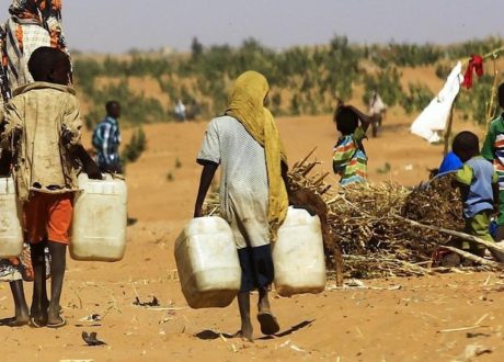 WEF: Africa loses 2-5% of GDP annually over climate shocks..3 key shifts needed