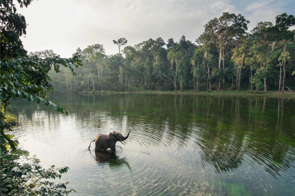 $ 15m initiative to unlock nature-positive business opportunities for MSMEs in Congo Basin 