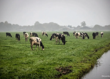Study: EU agricultural sector loses over €28 bn a year over adverse weather