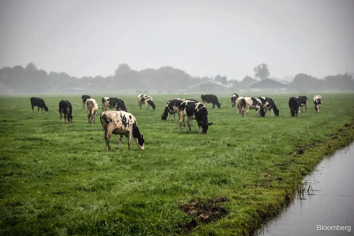 Study: EU agricultural sector loses over €28 bn a year over adverse weather