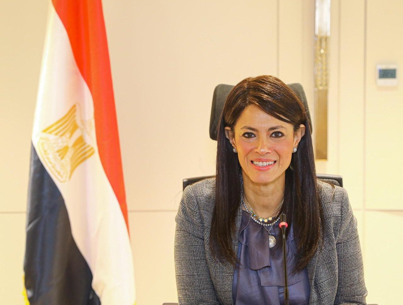  Mashat: Egypt aims to accelerate decarbonization, enhance energy efficiency, support renewable energy solutions