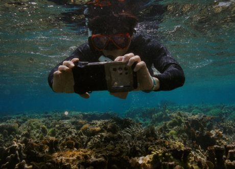 Samsung-led coral restoration initiatives help restore 10,705 square meters of coral reef habitat