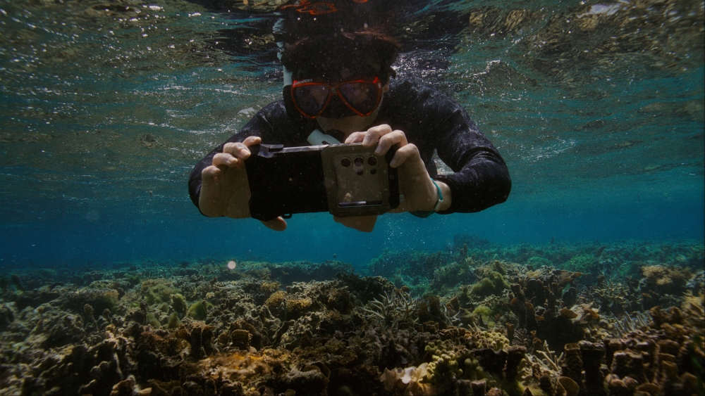 Samsung-led coral restoration initiatives help restore 10,705 square meters of coral reef habitat