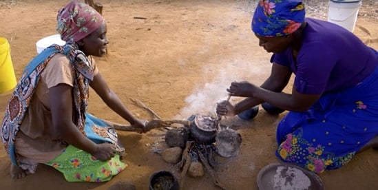 Study: Adopting low-carbon lifestyle in N. America, Sub-Saharan Africa to help cut two fifths of global household emissions of CO2