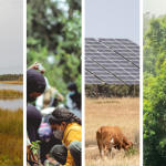 Oxford Univ. sets principles to help countries, corporate engage in carbon trading