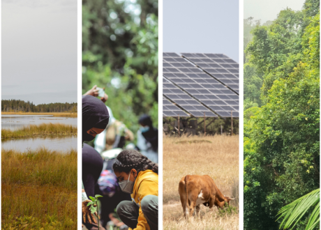 Oxford Univ. sets principles to help countries, corporate engage in carbon trading